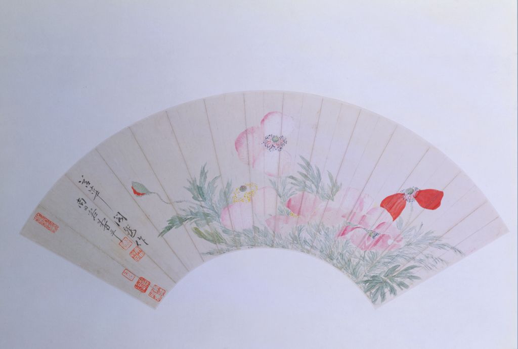 图片[1]-Yun Shouping Poppy Flower Picture Fan Page-China Archive